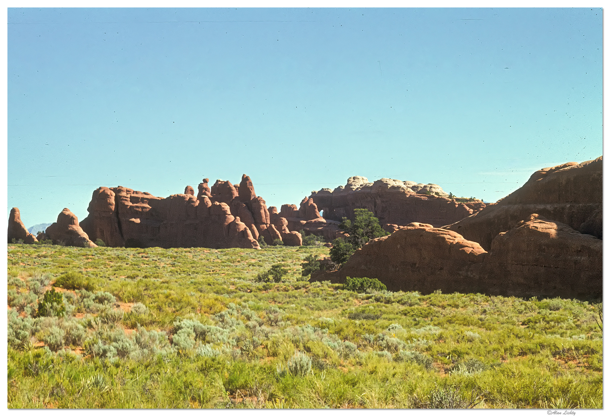 Arches greenery-Edit.jpg