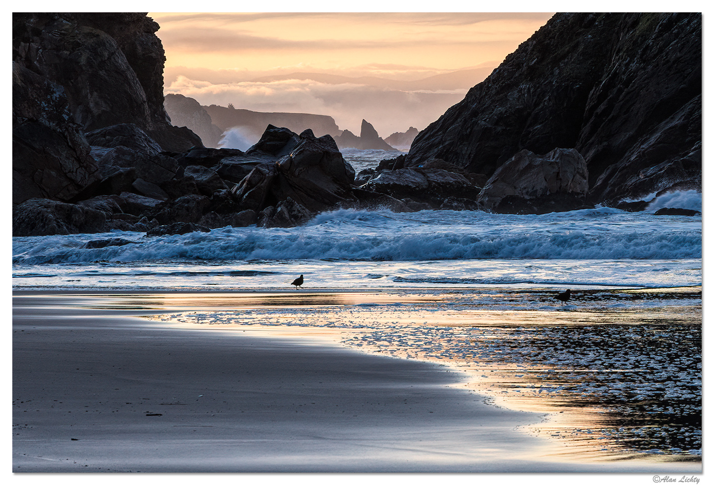Black OysterCatchers along the shore.