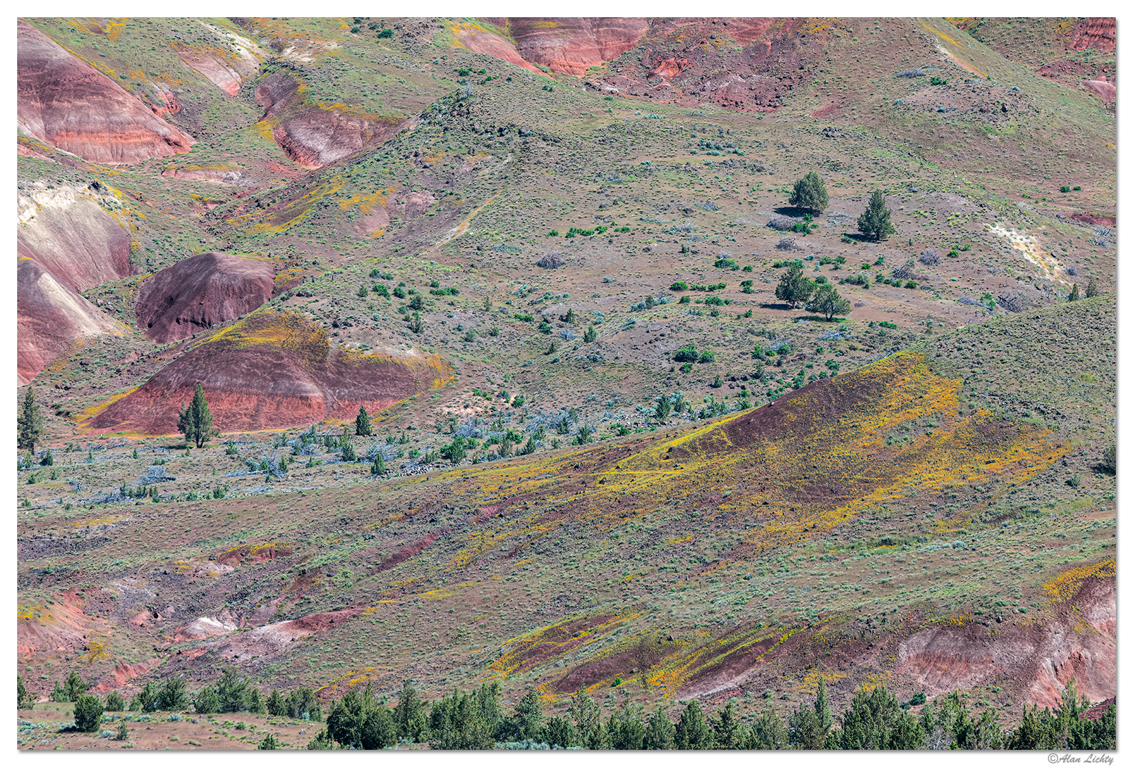 Blue Basin Overlook Trail