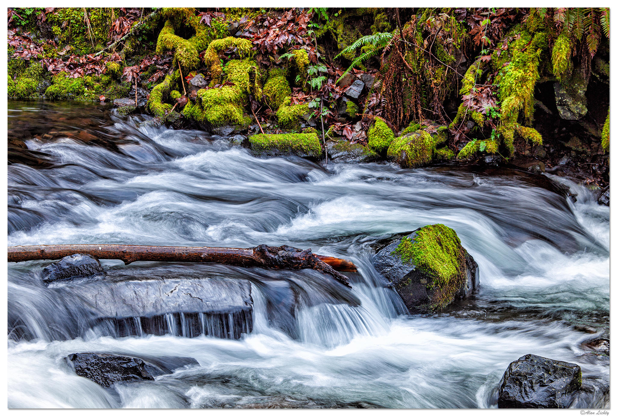 C5D2_BridalVeilCreek011810.jpg