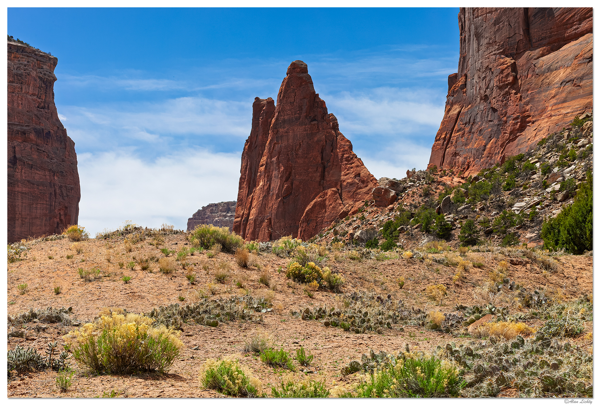 C5D2_CanyonDeChellyCacti041610.jpg