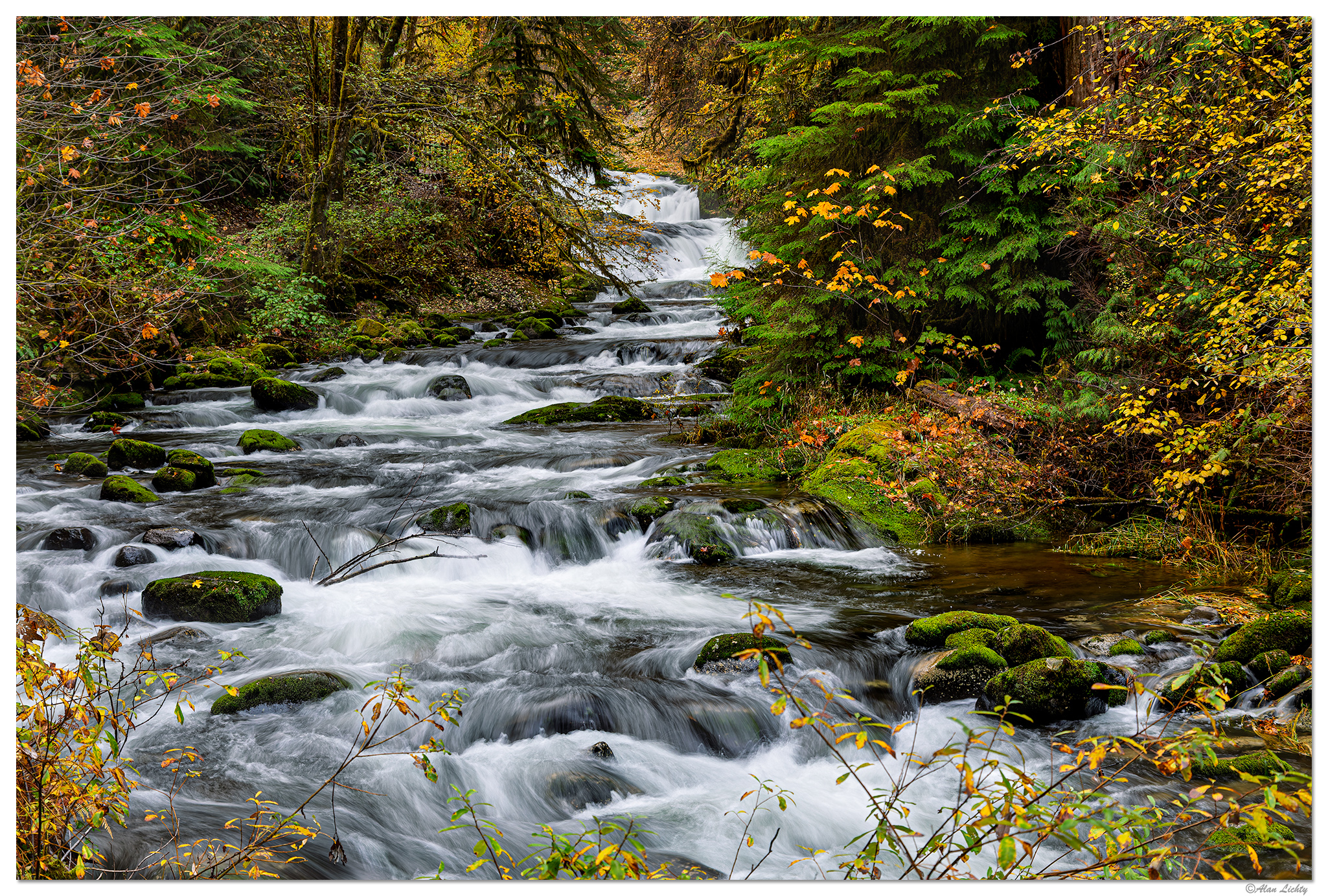 C5D4_AnniceFalls110823.jpg