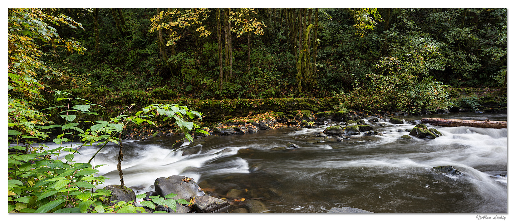 Cedar Creek