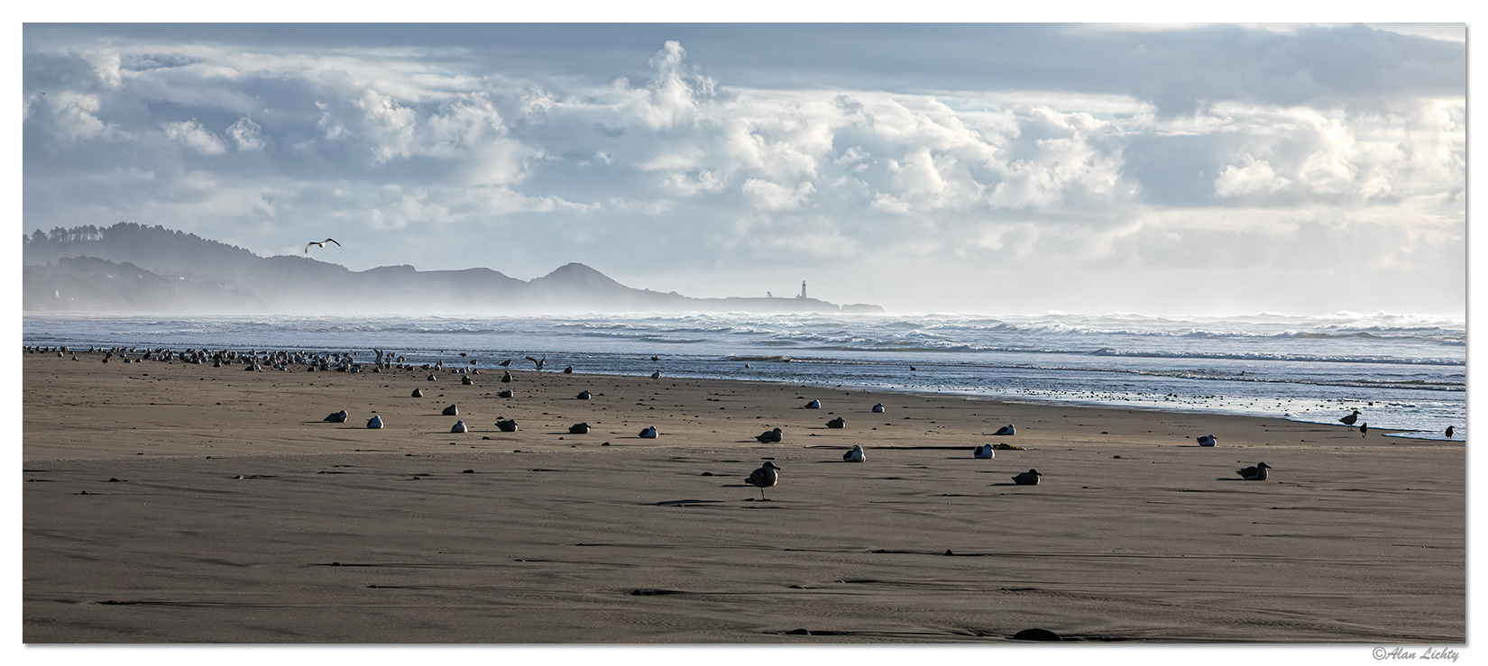 Cold Day at the Beach Focal World