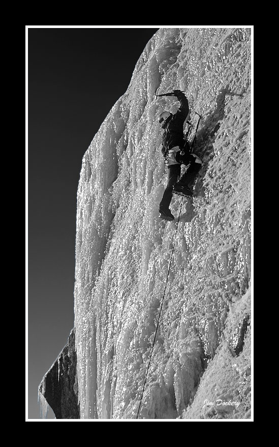 Cold-Duck-Ice-BW