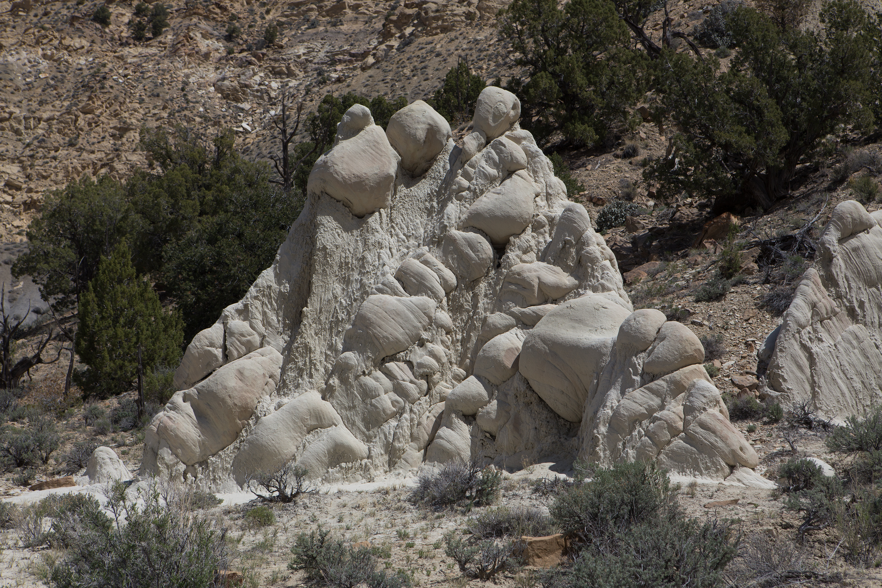 Cottonwood Wash