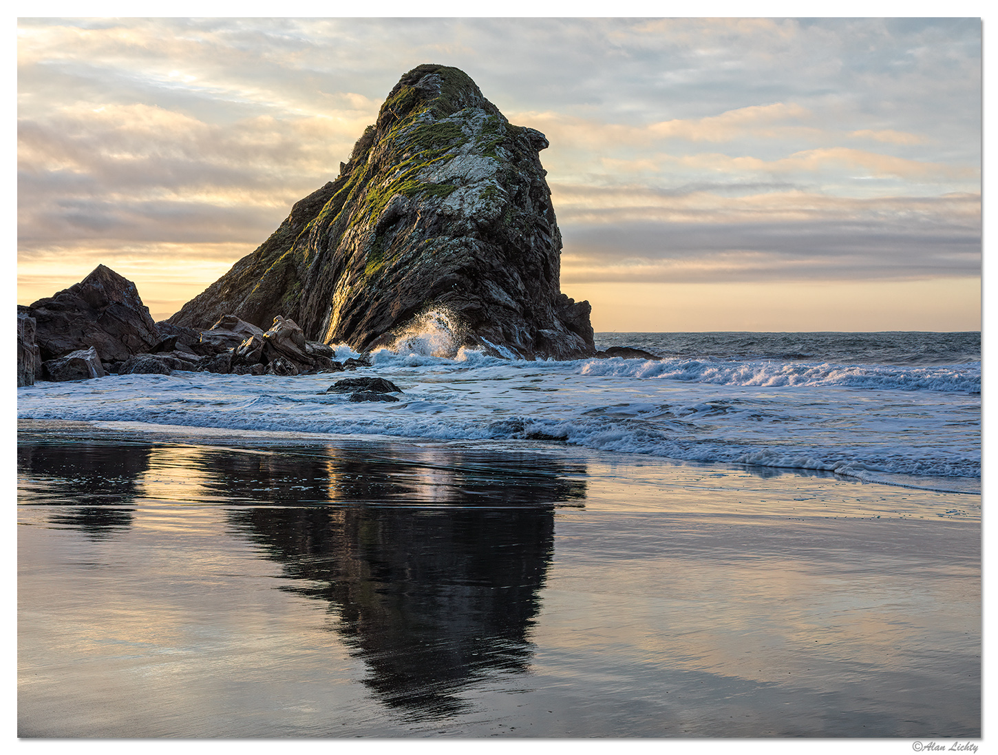 First Rays of the Sun +new crop Focal World