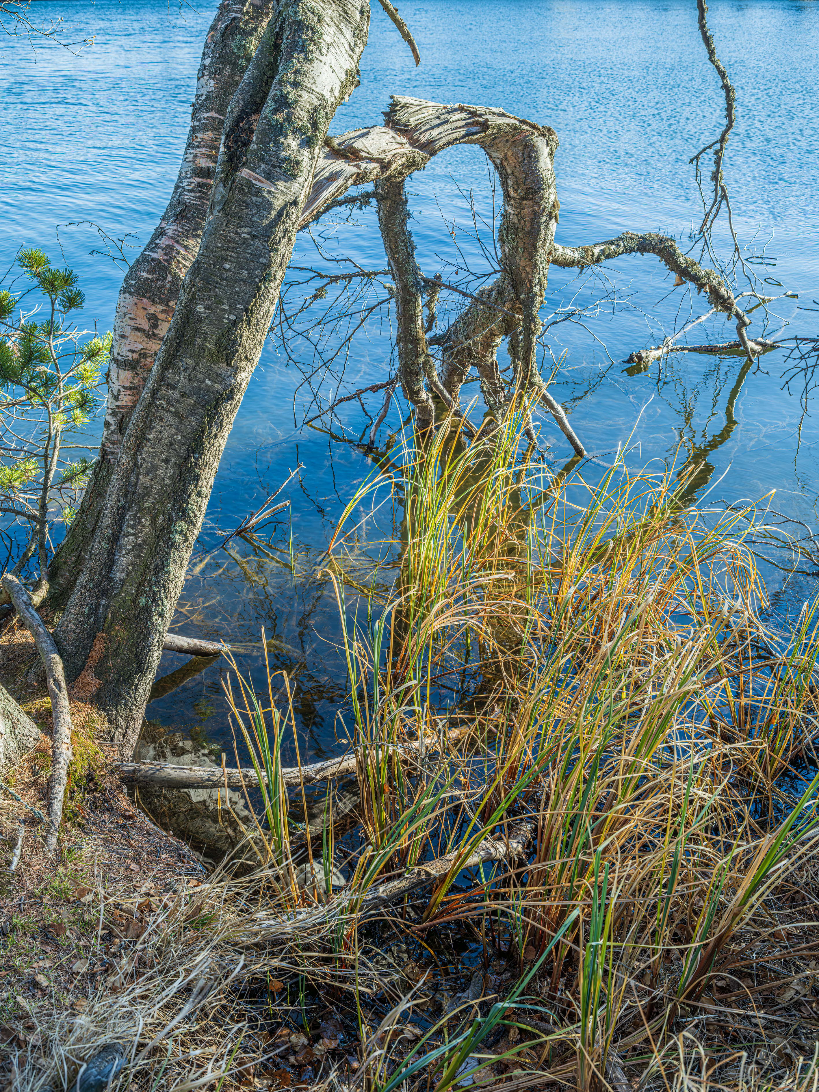 GFX100S000_010-Landscape Sharpen kopie.jpg