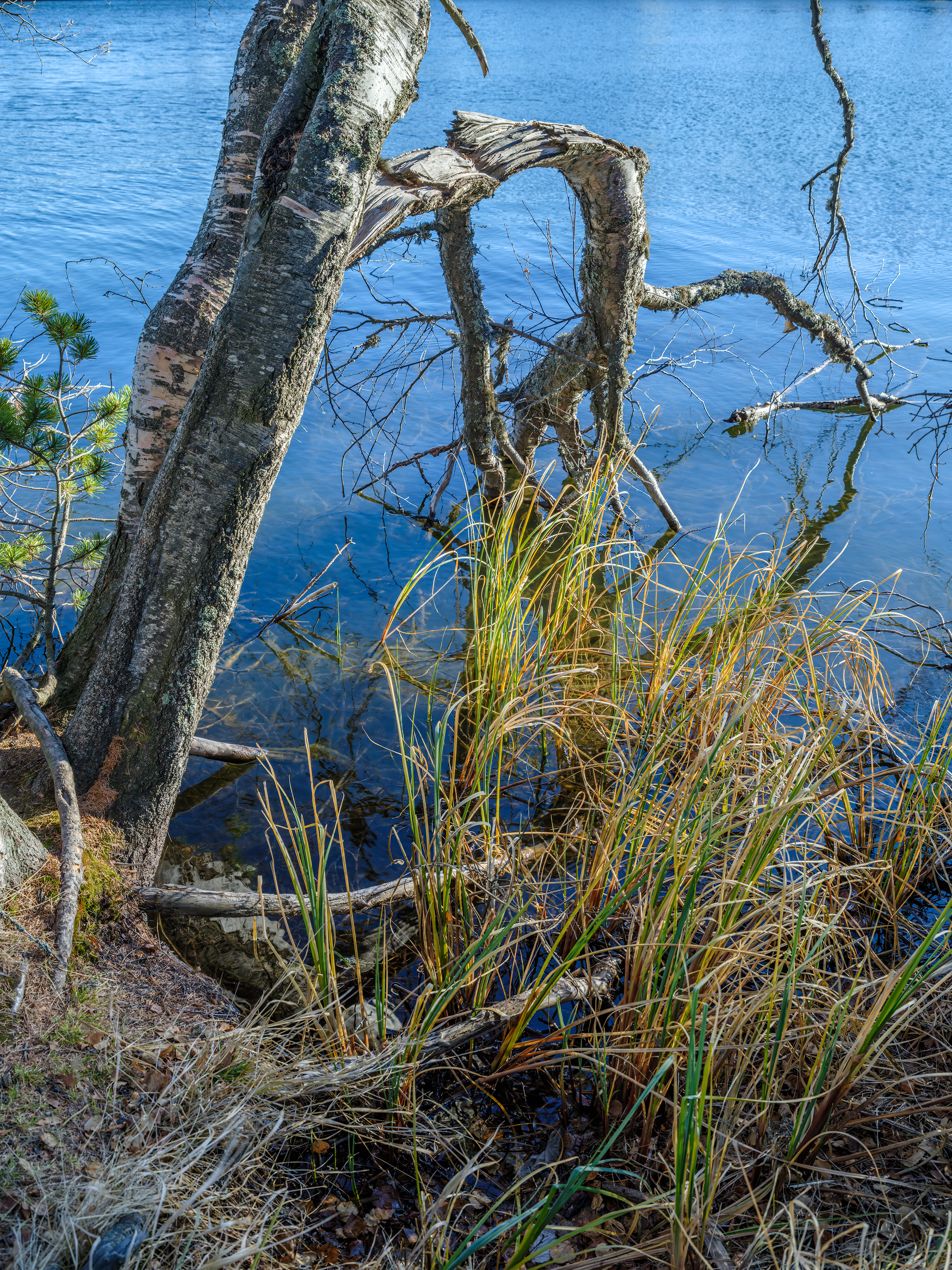 GFX100S000_010-Photo kopie.jpg