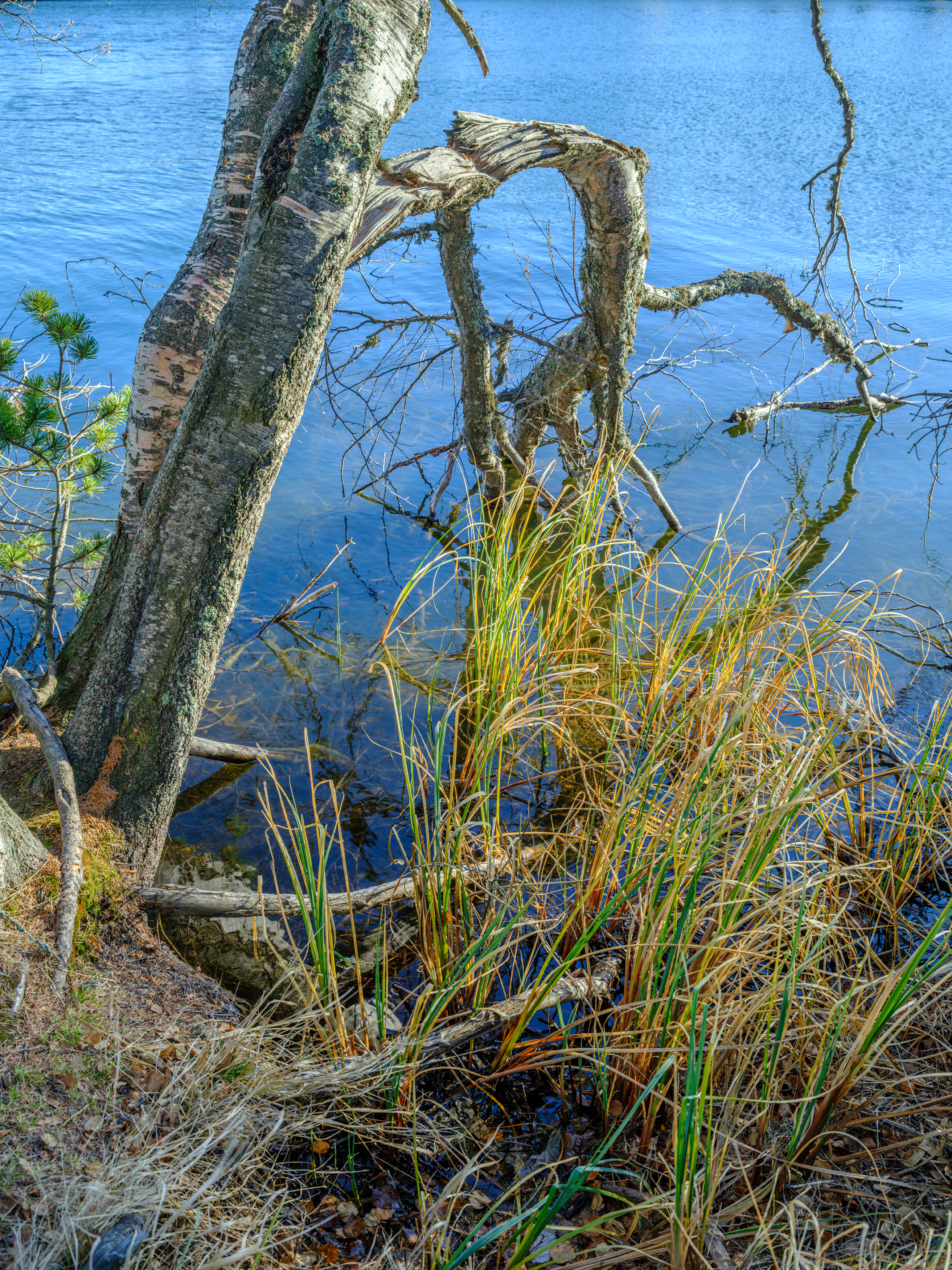 GFX100S000_010-Velvia Photo1 kopie.jpg