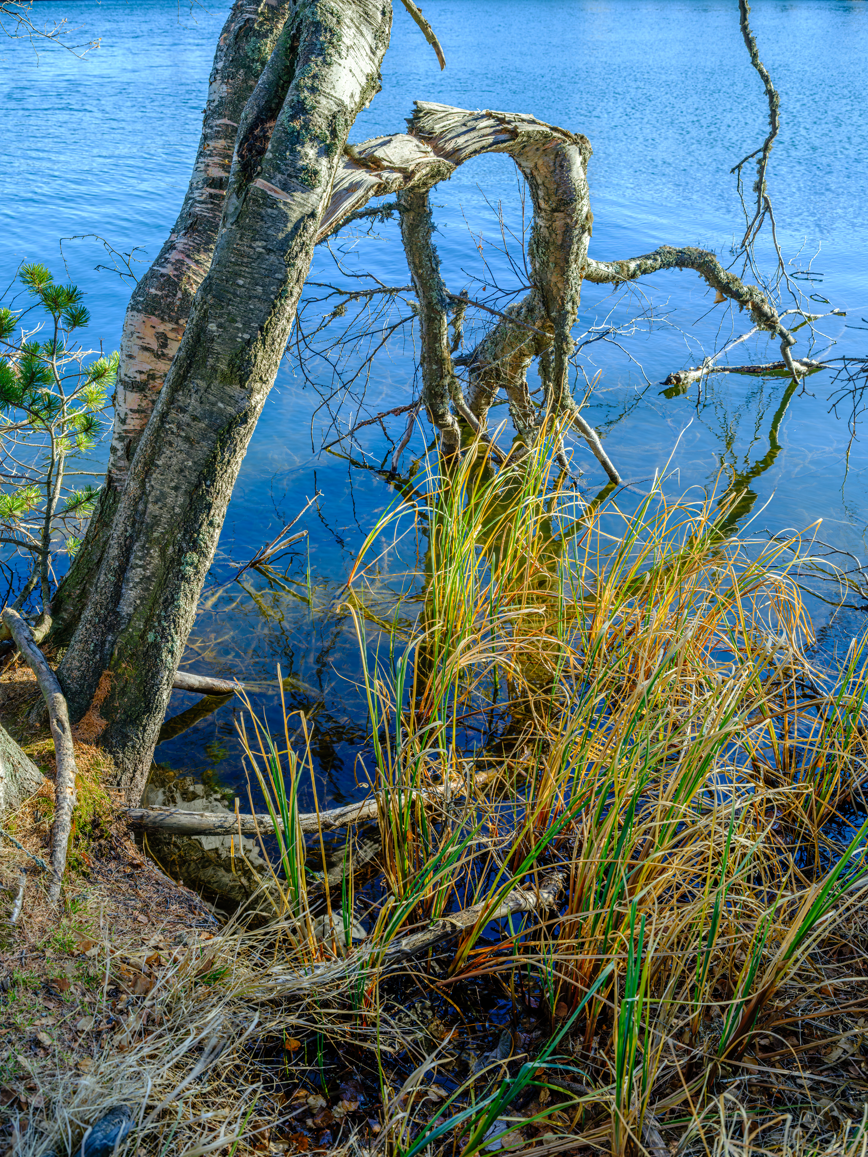 GFX100S000_010-Velvia1 Photo Rick kopie.jpg