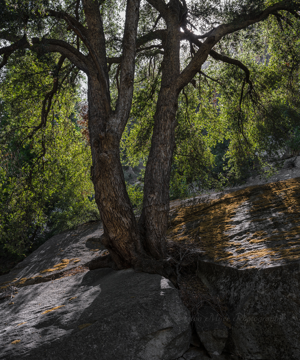 Granite Splitter