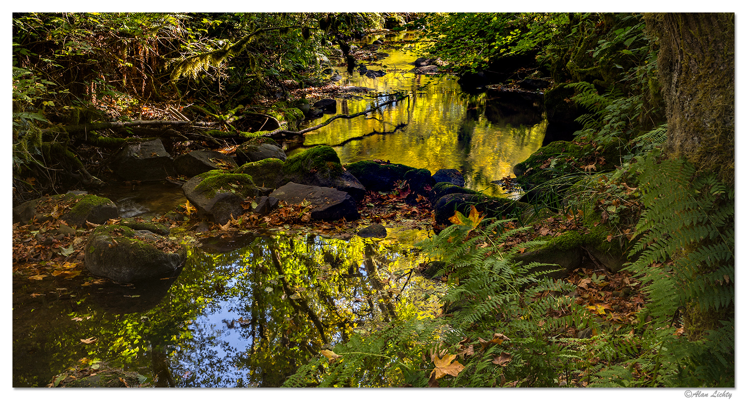 Green Creek Reflections