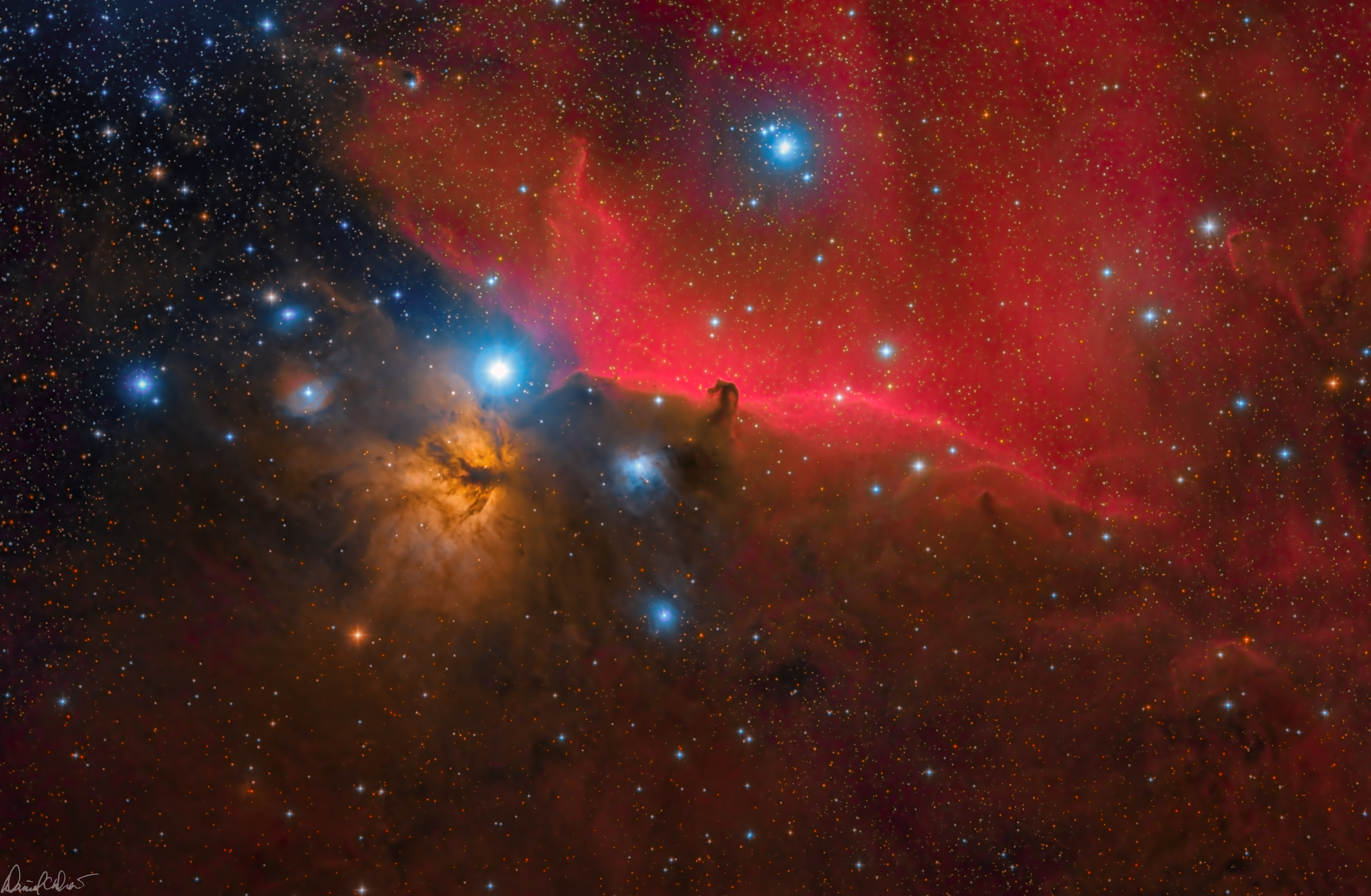 Horsehead and Flame