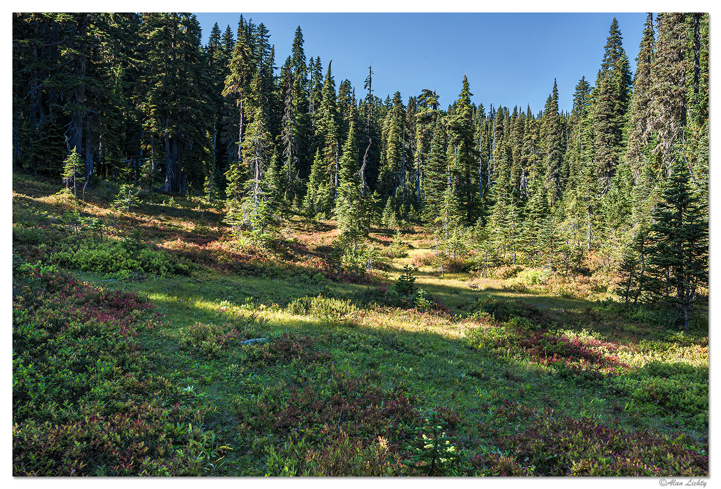Huckleberry Habitat