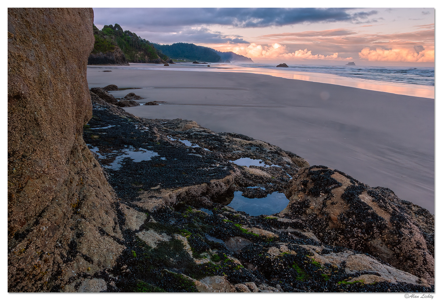 Morning Hug +additional image | Focal World