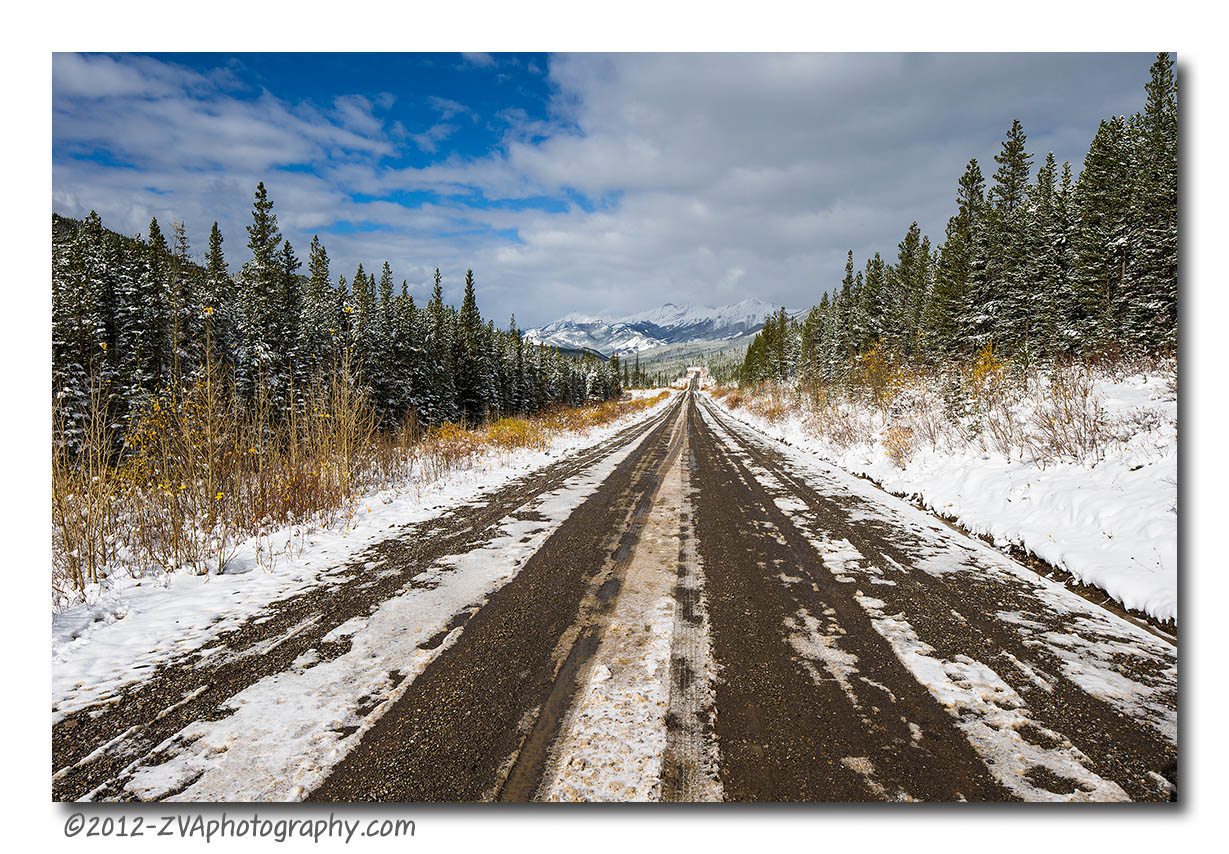 Kananaskis Highway 42