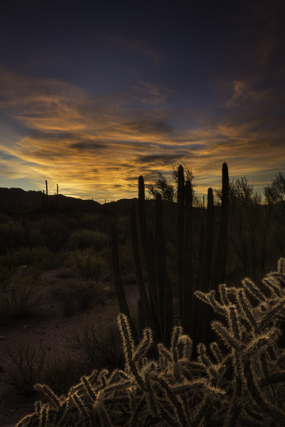 LastSunsetOrganPipe