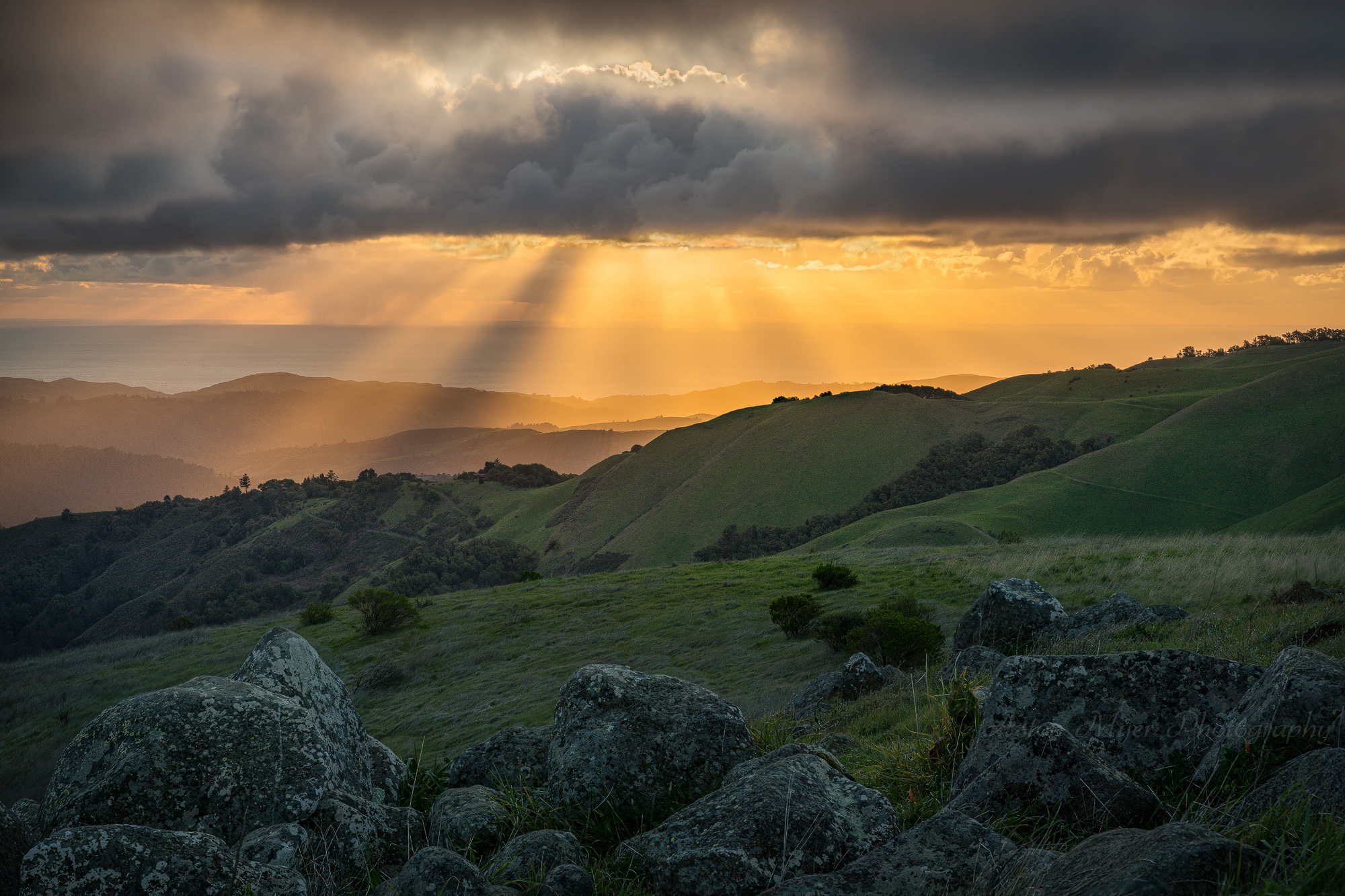 Russian Ridge | Focal World