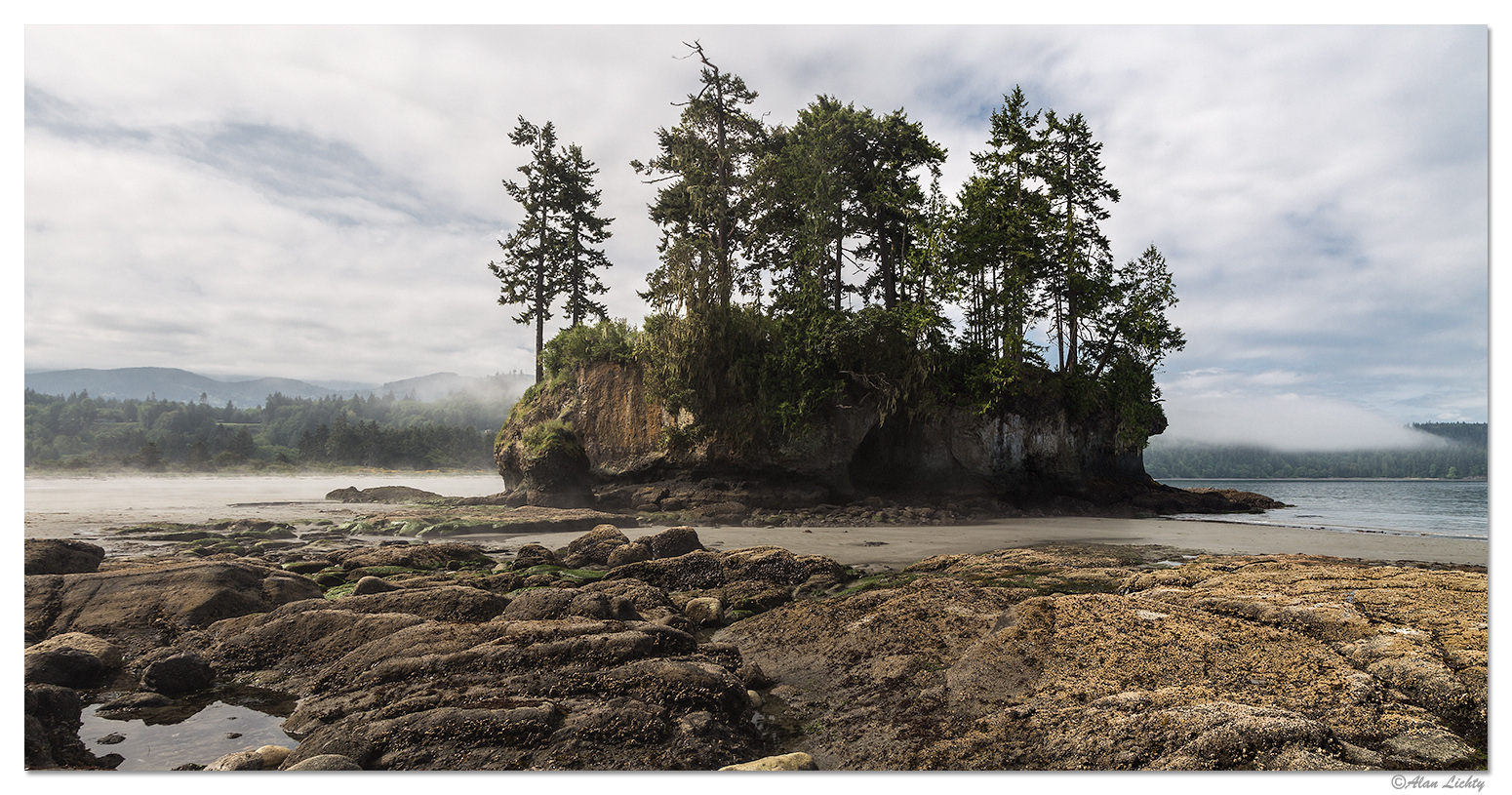 Low Tide in Crescent Bay Focal World