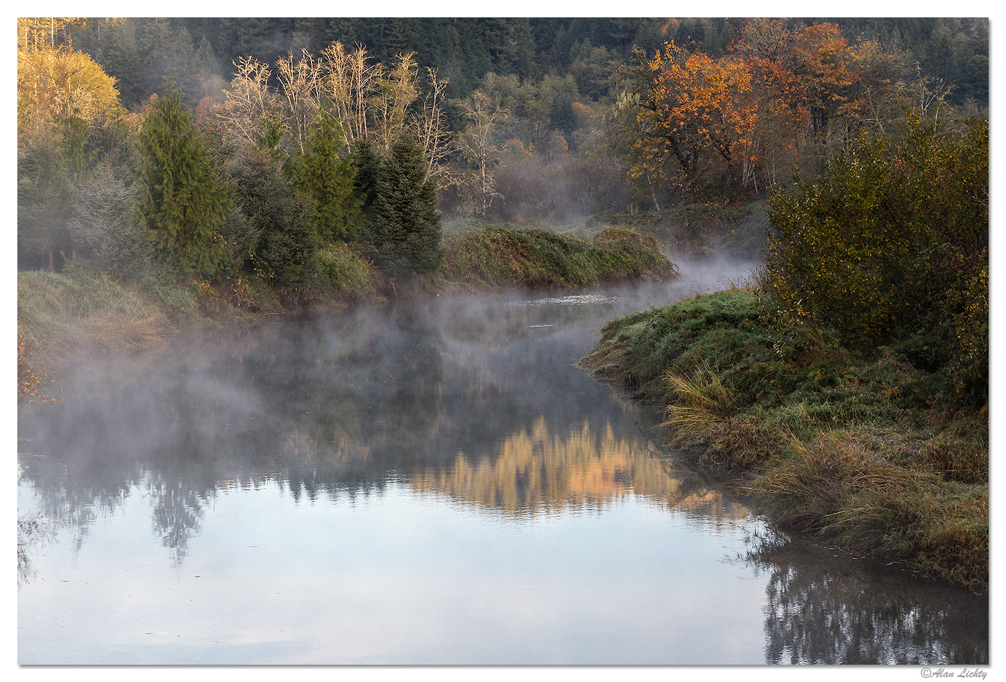 Misty Morning