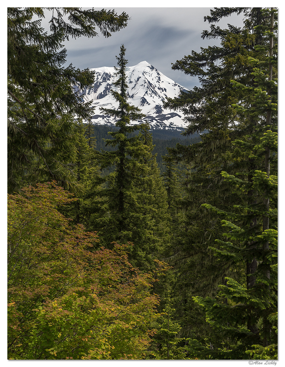 Mt. Adams