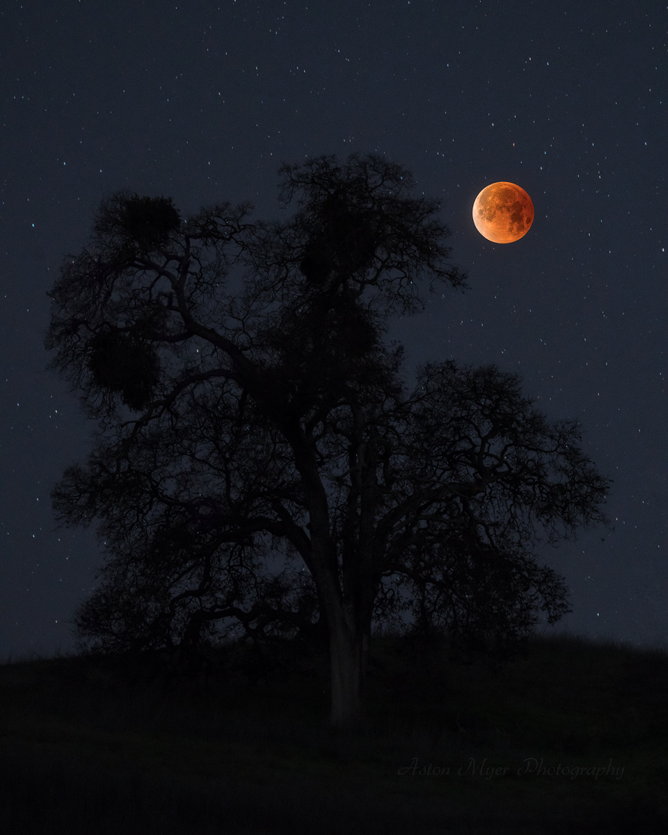 Oak Savanna Lunar Eclipse