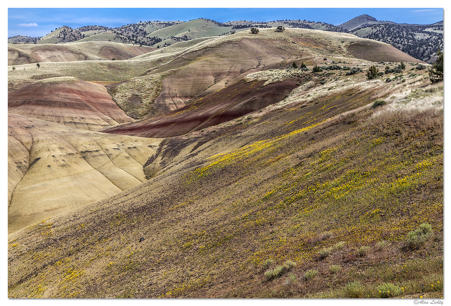 Painted Hills in the Spring