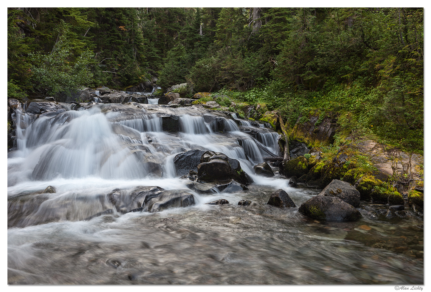 Paradise Creek