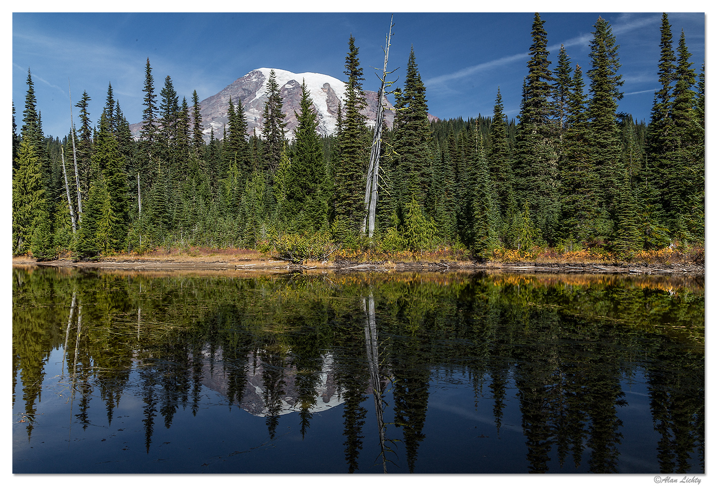 Reflections