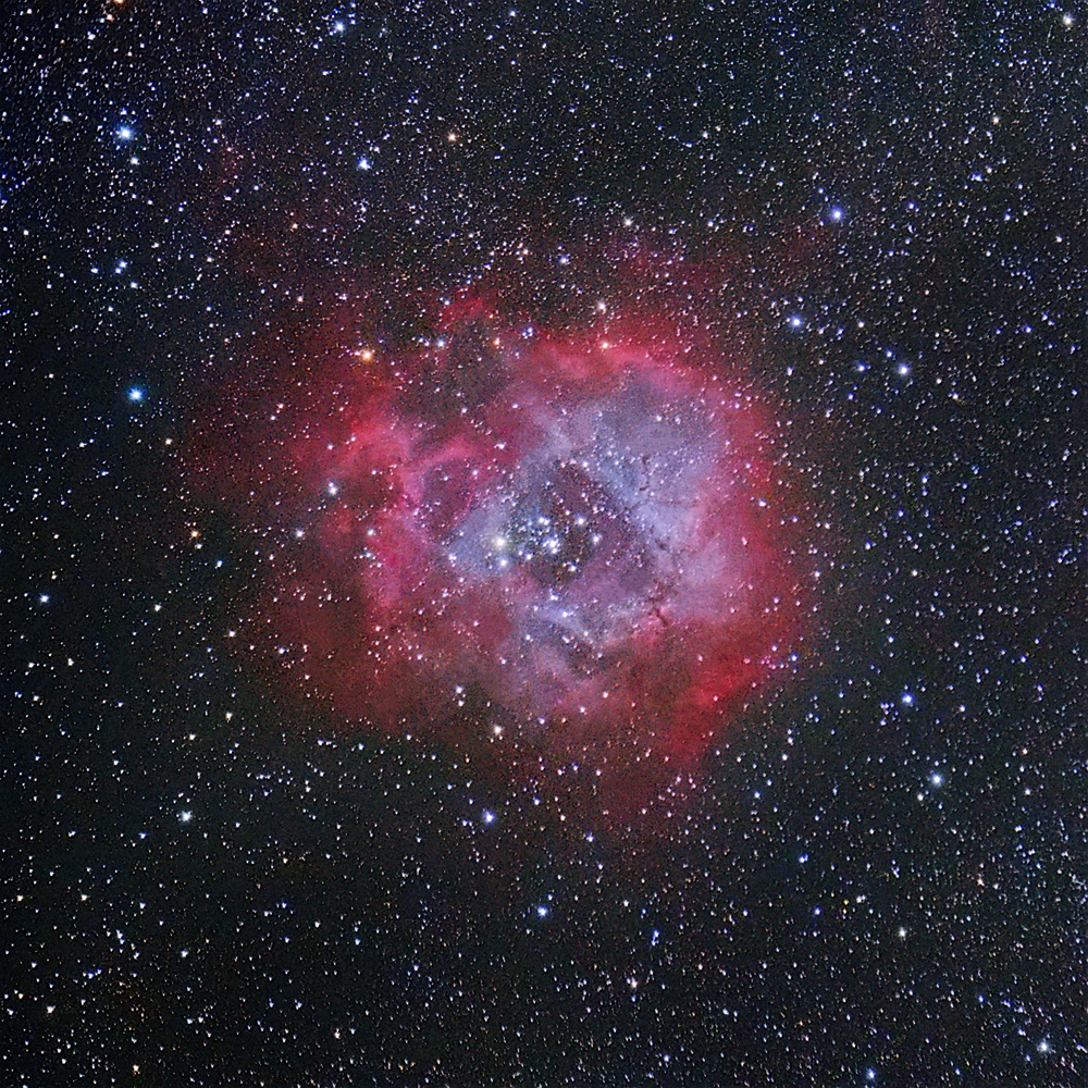 Rosette Nebula