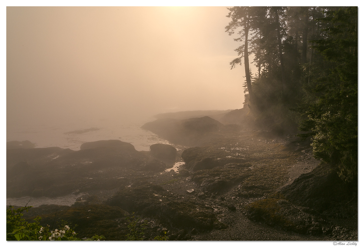 Salt Creek Sunrise