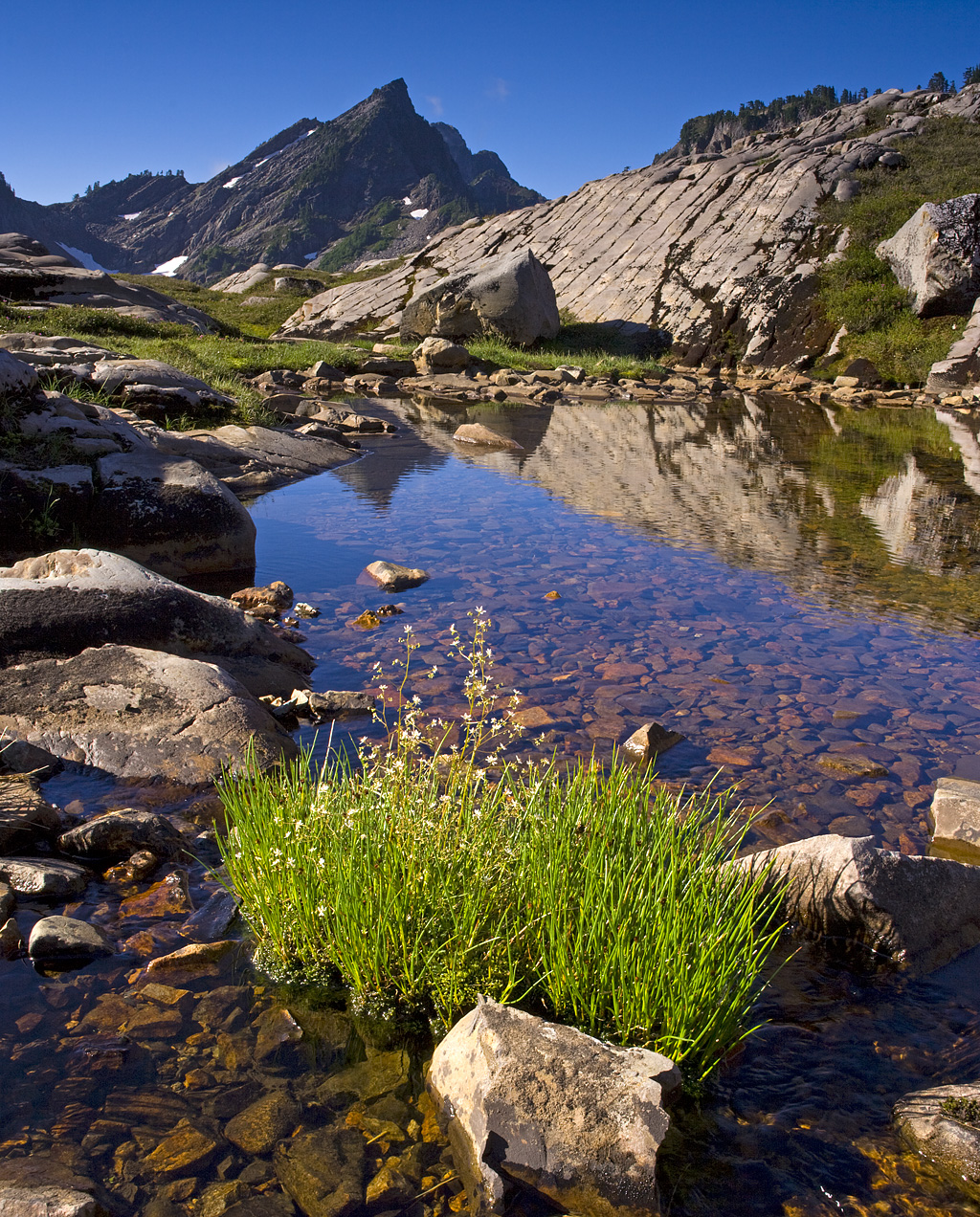 Sheepgap Pond_Panorama3
