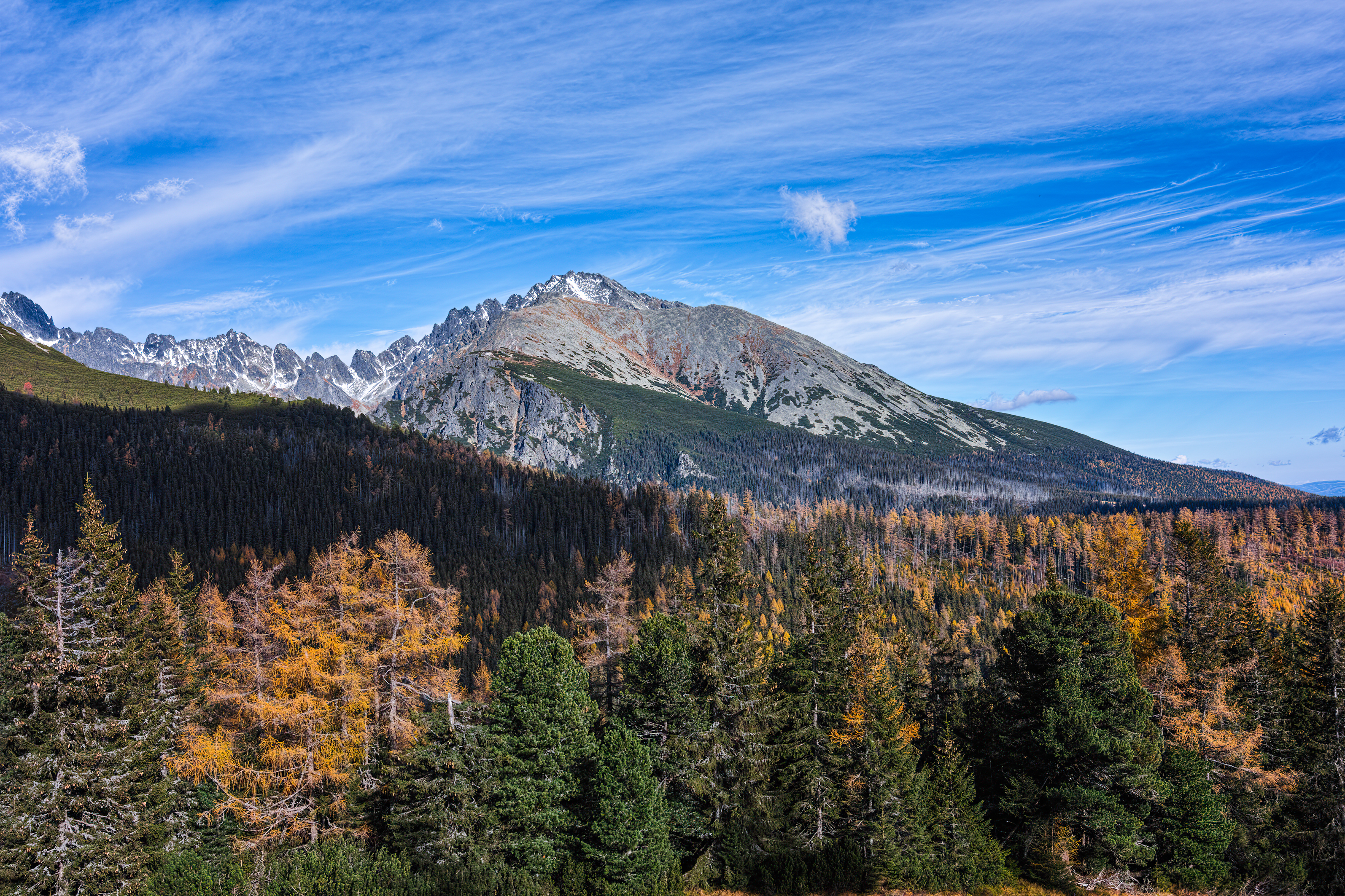 Sigma SD1Merrill Sharpen kopie.jpg