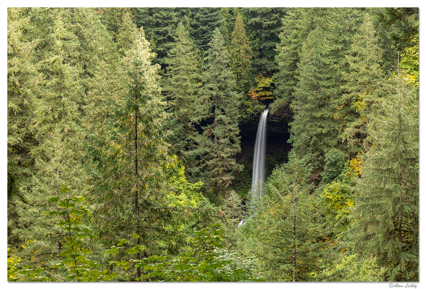 Silver Falls North Falls Focal World