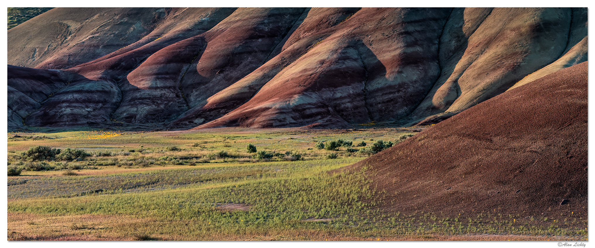 Springtime in the Painted Hills
