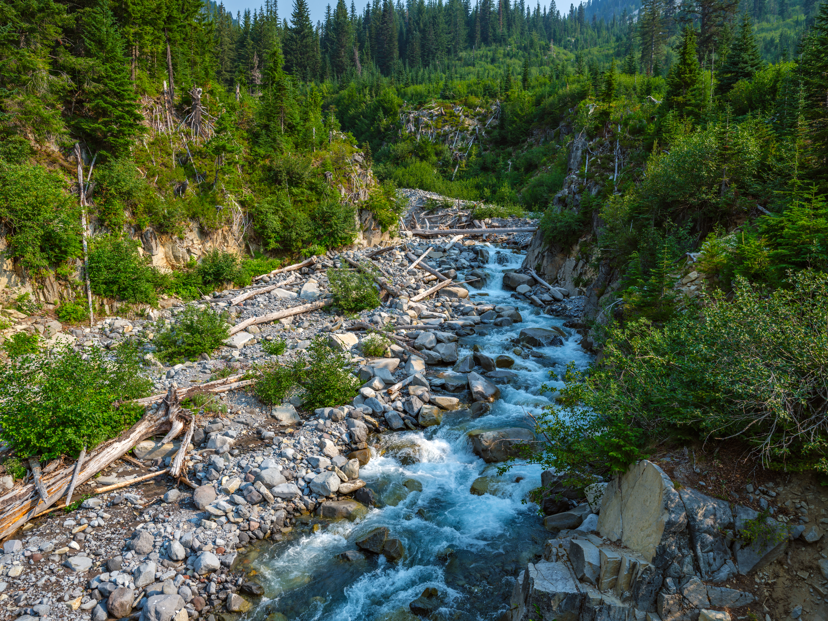 Stevens Creek Mount Rainier 18516_100S4567-ACR.jpg