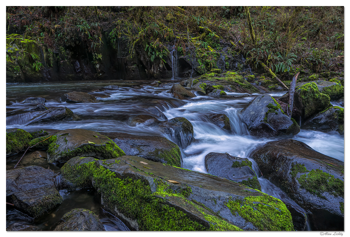 Sweet Creek Rapids