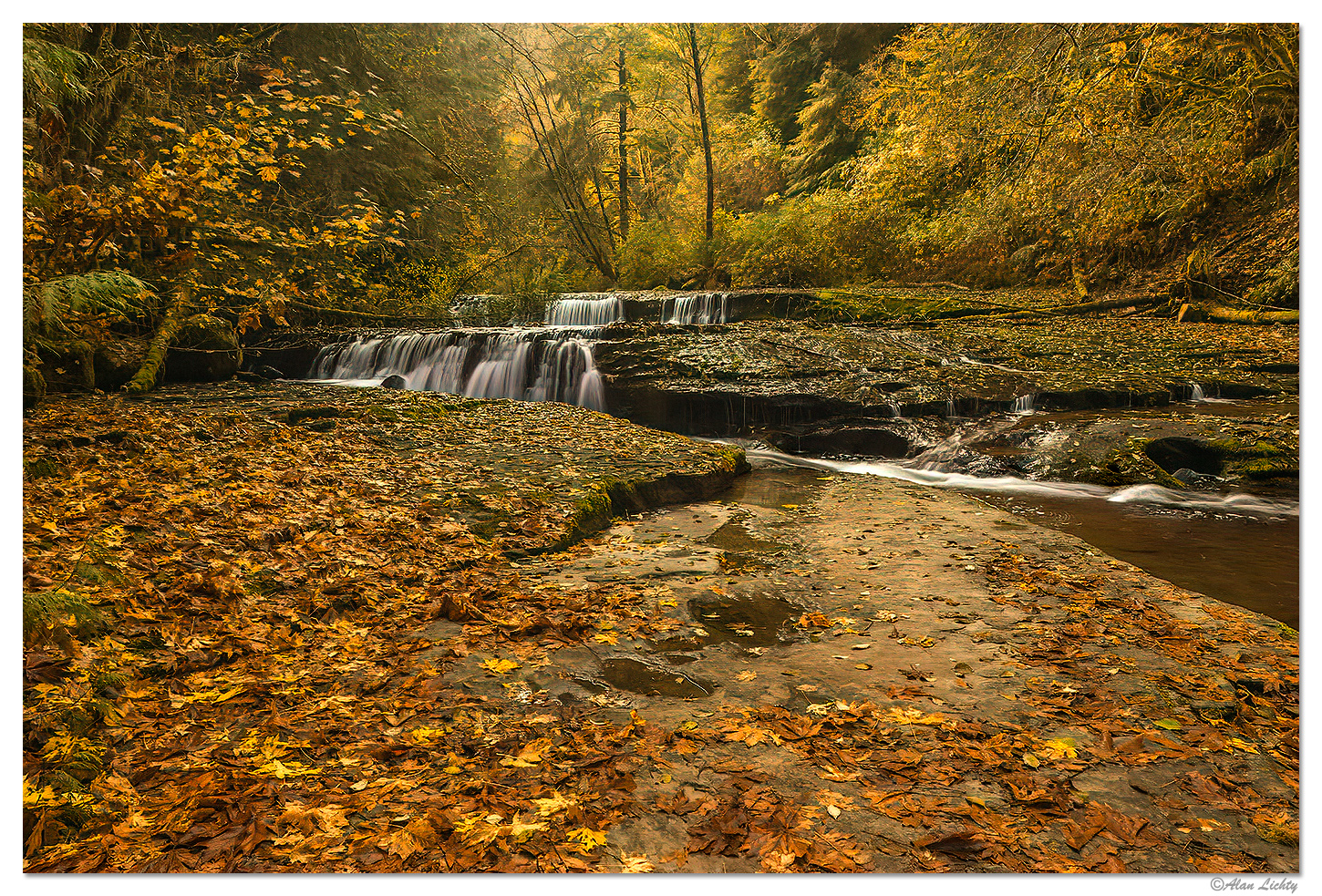 Sweet Creek
