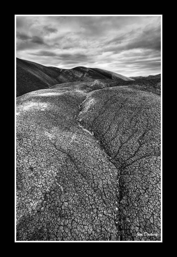 The-Cove-bw