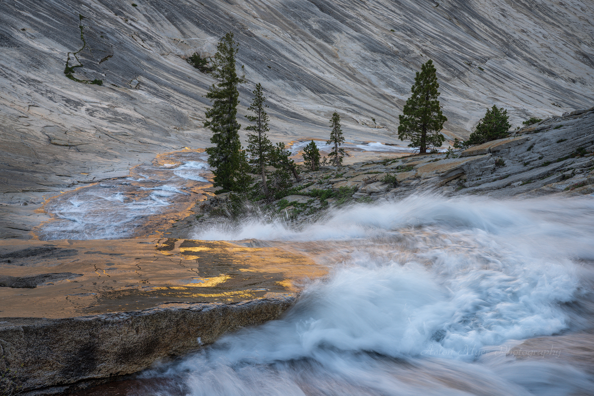 The Gold Rush Takes A Turn