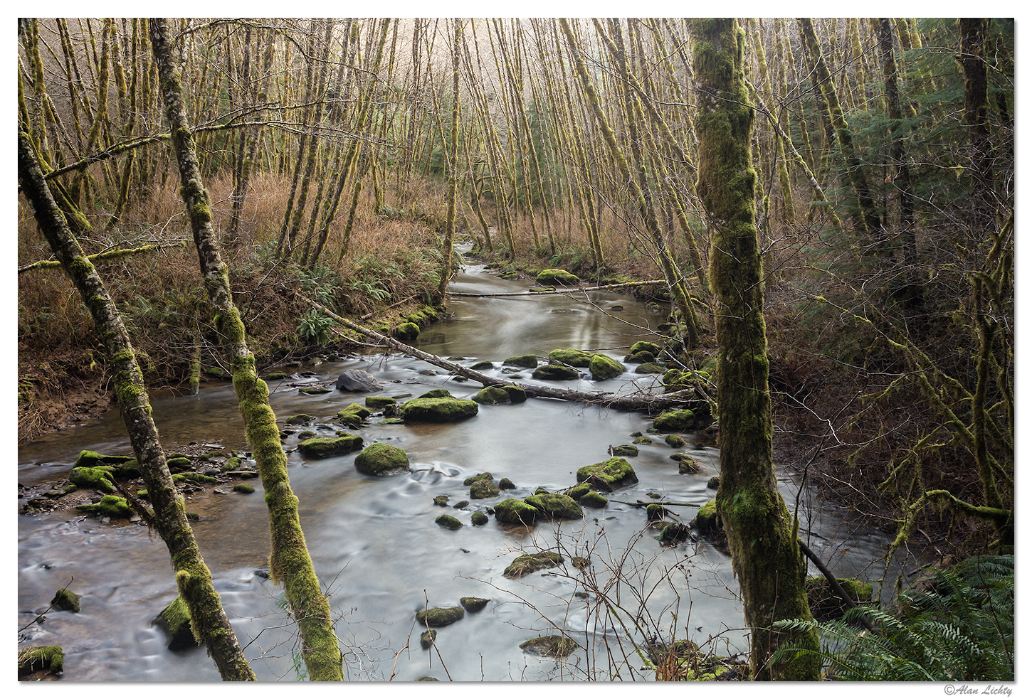Wagon Road Trail