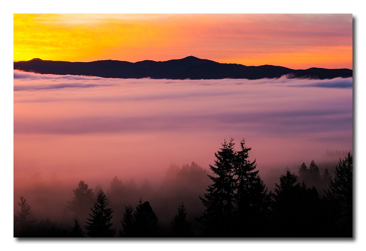 Willamette Valley, just south of Eugene Focal World