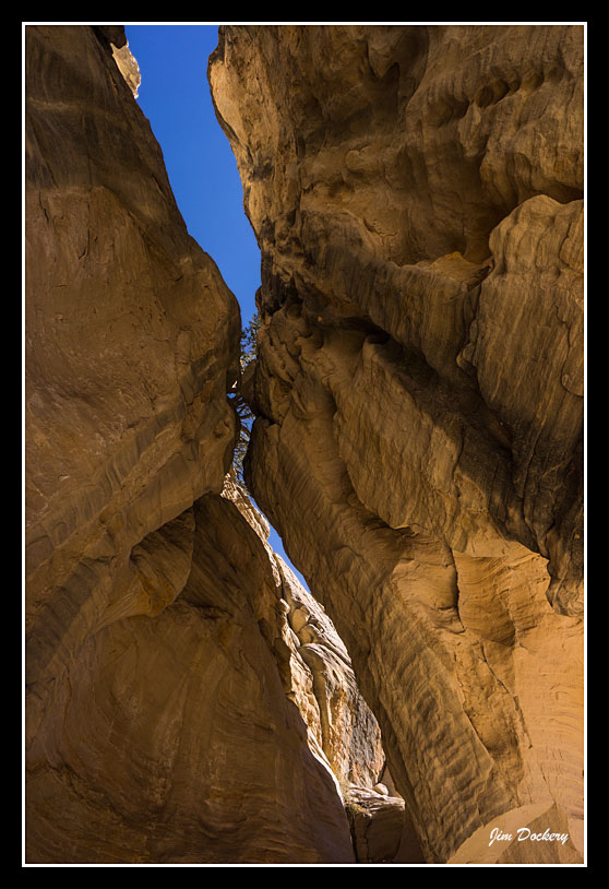 Willis-Canyon_0453