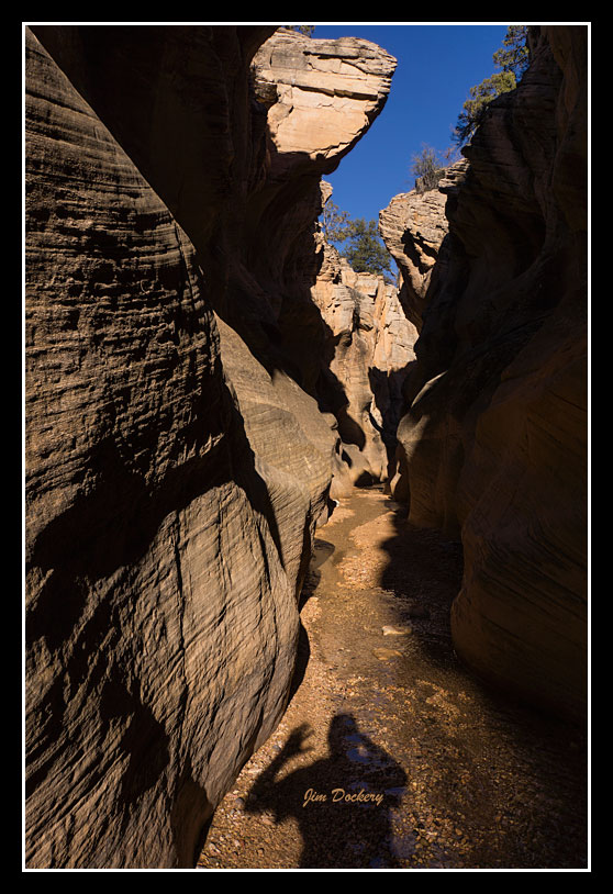 Willis-Canyon_shadow